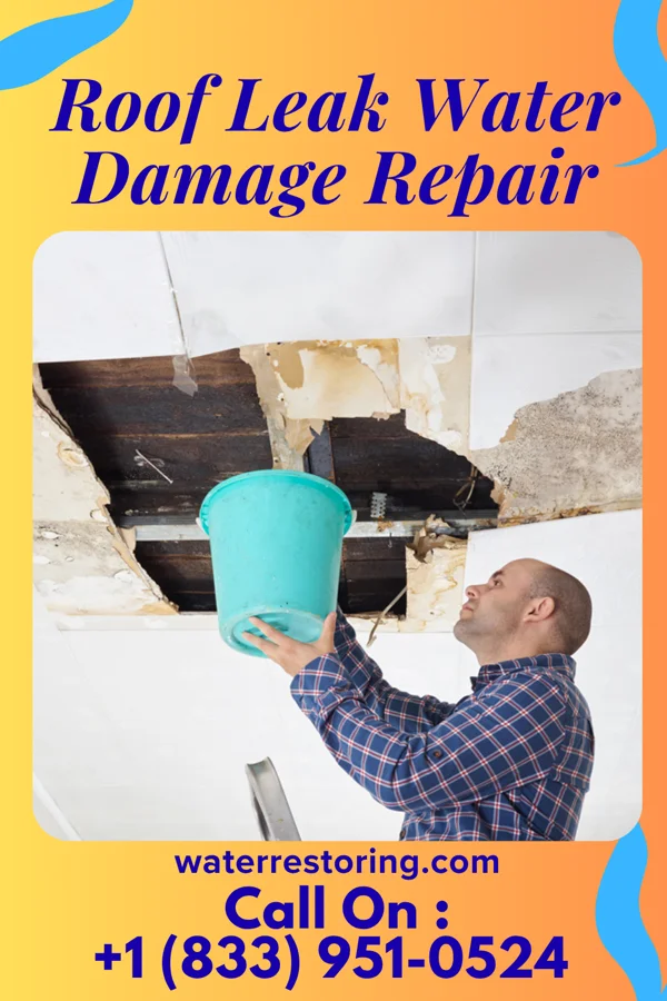 Roof Leak Water Damage Repair in Mount Pleasant, UT